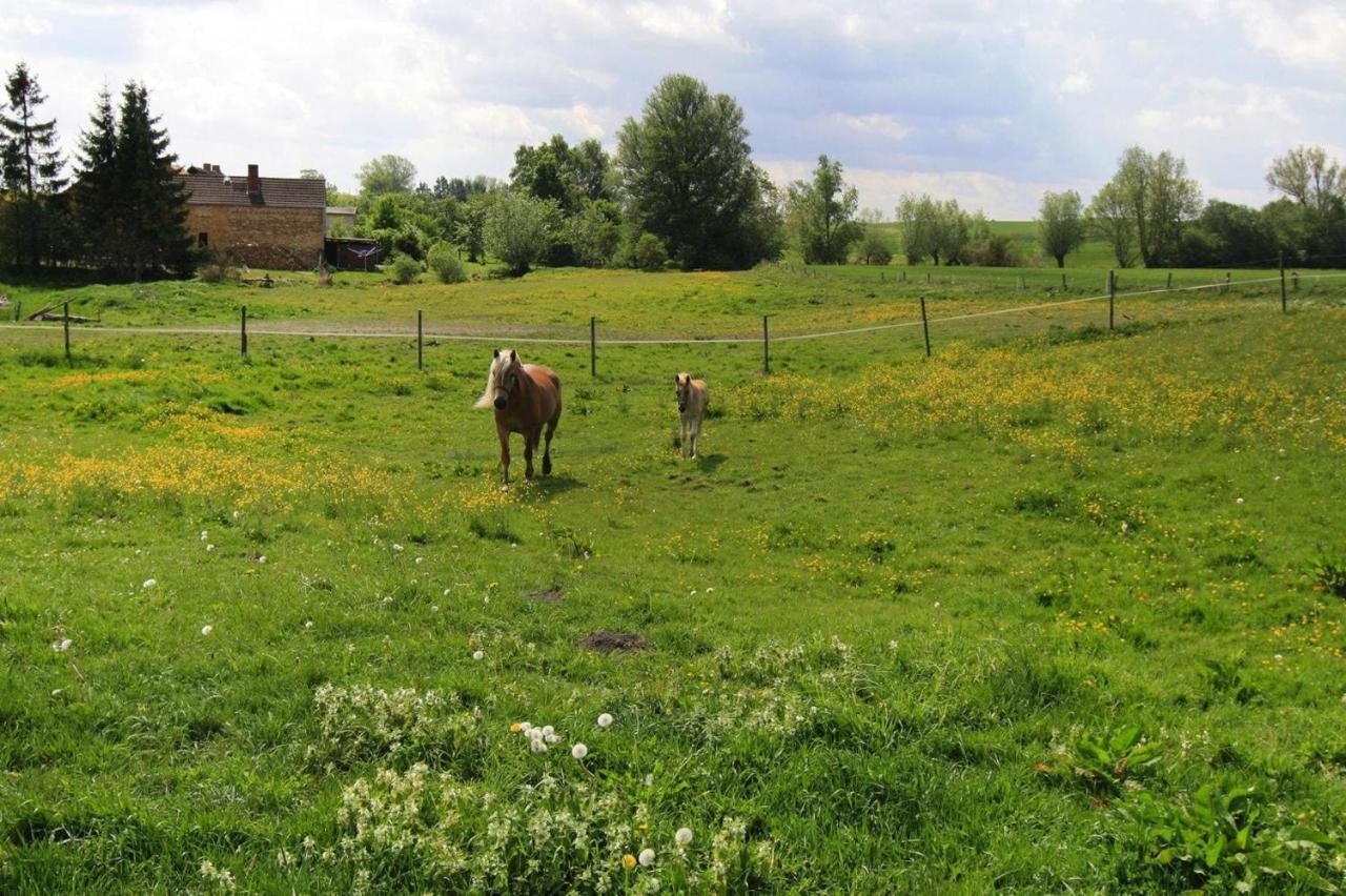 Vacation Home, Zahrensdorf Екстериор снимка